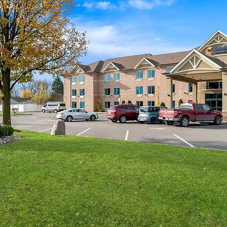 Comfort Inn & Suites Тейлор Экстерьер фото